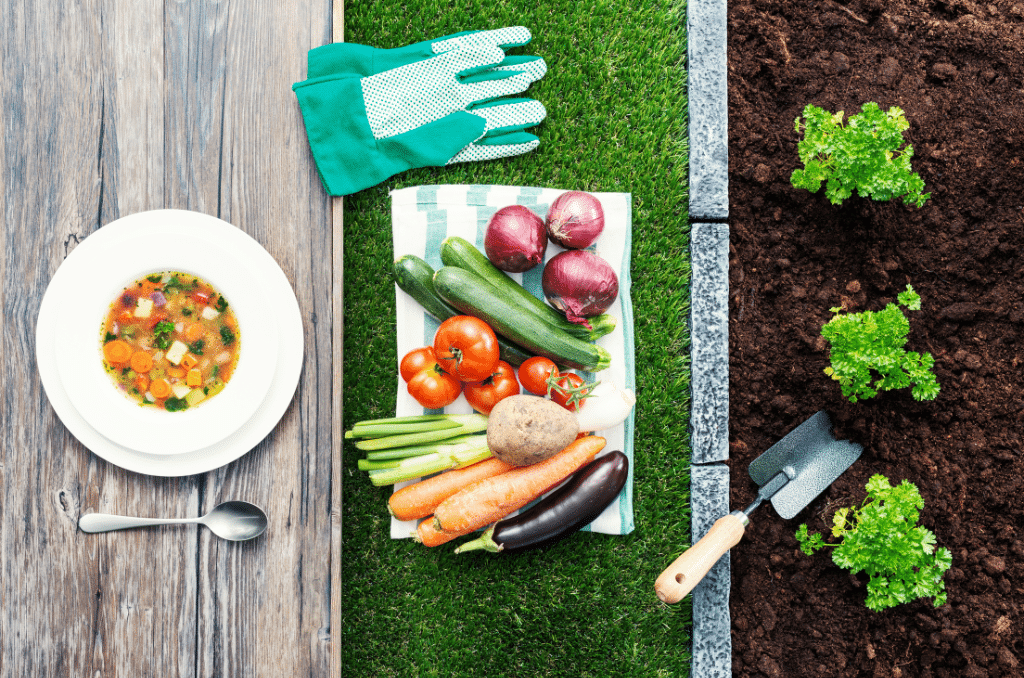 The Benefits of Garden-to-Table Produce P