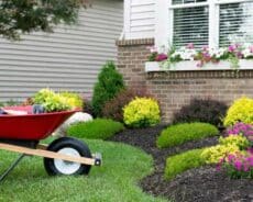 Landscaping Tips for Curb Appeal