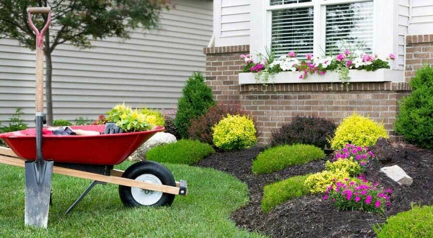 Landscaping Tips for Curb Appeal